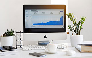 全京城都蹭我瓜吃