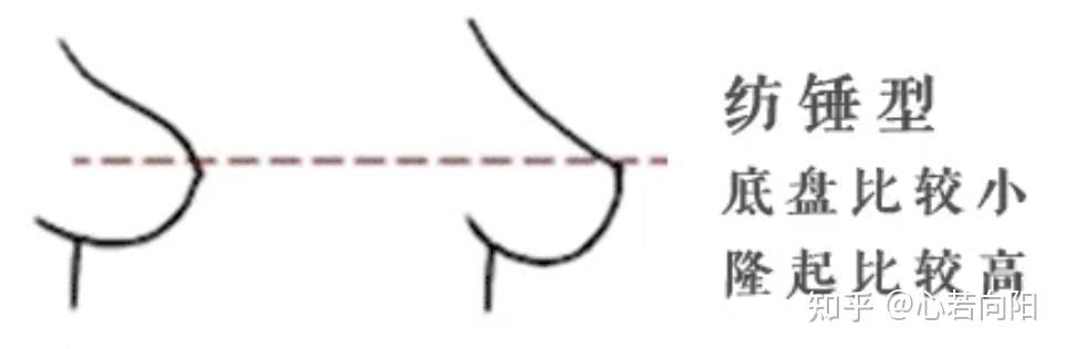 女士内衣选购攻略_内衣外穿女明星_如何选择适合自己的内衣