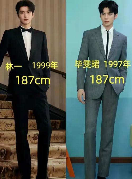 娱乐圈高知女性_娱乐圈最高的女明星_娱乐圈女高层有哪些